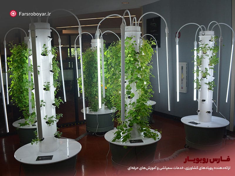 کشاورزی عمودی به سبک ایروپونیک